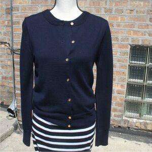 J. Crew Merino Wool Blue Cardigan Sweater with matching shell